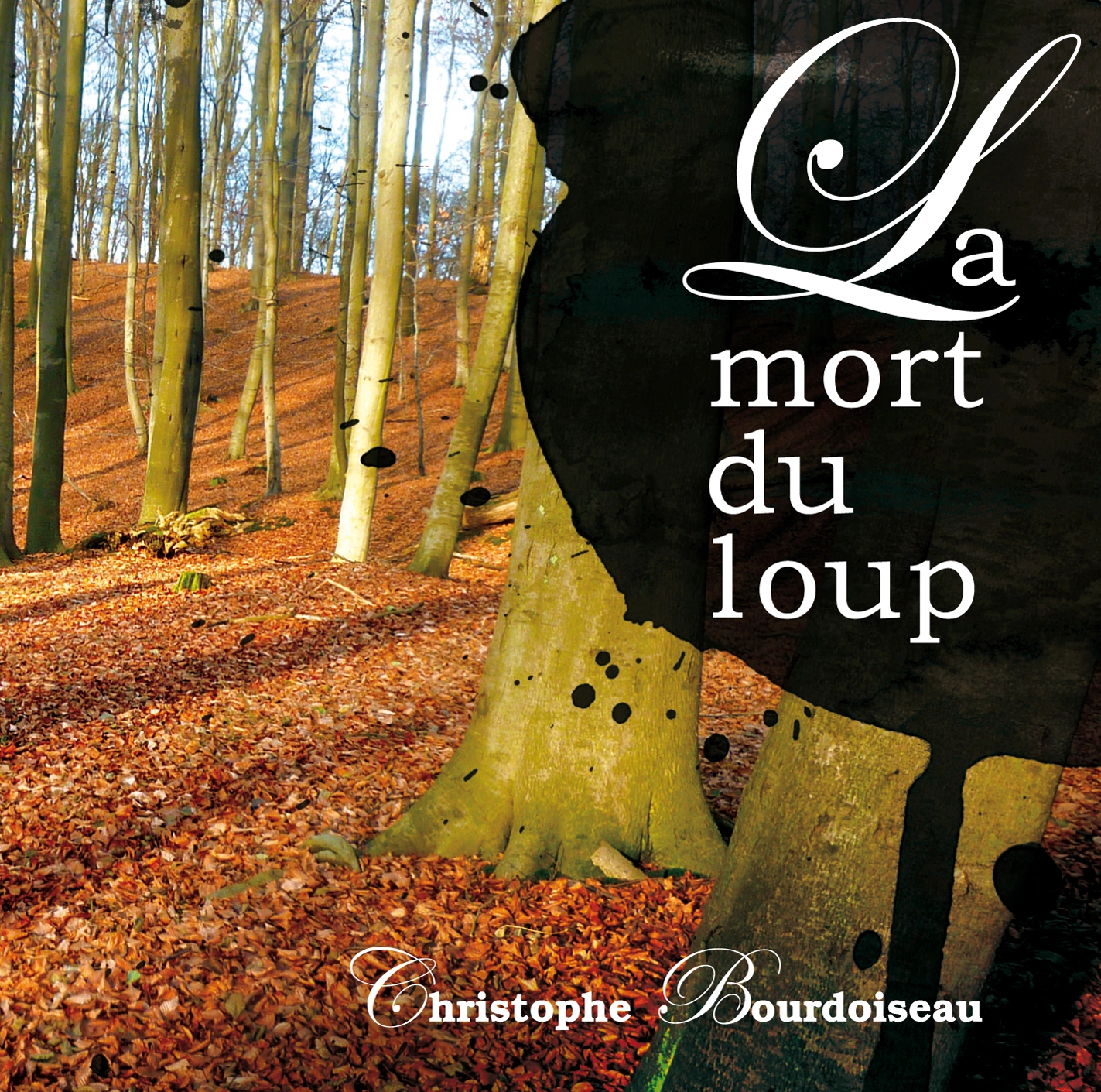 Poésie Chanson